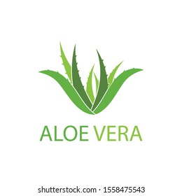 Aloe vera logo vector illustration template
