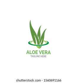 Aloe vera logo vector illustration template