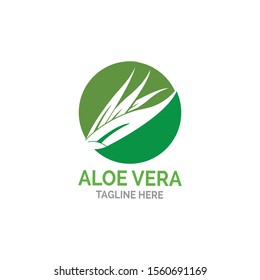 Aloe vera logo vector illustration template