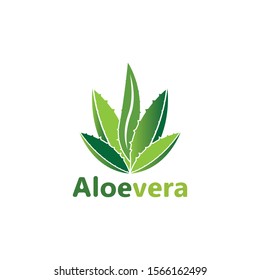 Aloe vera logo vector illustration template design