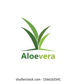 Aloe vera logo vector illustration template design