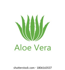 Aloe vera logo vector illustration template