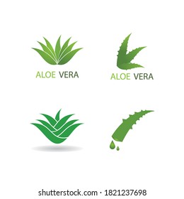 Plantilla de ilustración vectorial del logo de Aloe vera