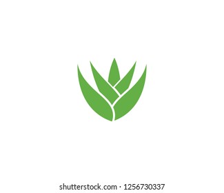 Aloe vera logo vector ilustration template