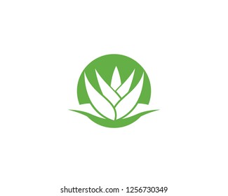 Aloe vera logo vector ilustration template