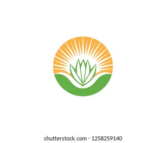 Aloe vera logo vector ilustration template