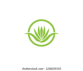 Aloe vera logo vector ilustration template
