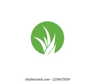 Aloe vera logo vector ilustration template