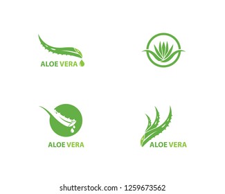 Aloe vera logo vector ilustration template