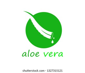Aloe vera logo vector ilustration template - Vector 