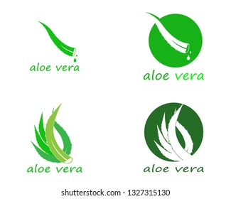 Aloe vera logo vector ilustration template - Vector 