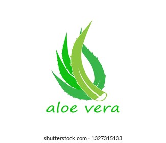 Aloe vera logo vector ilustration template - Vector 