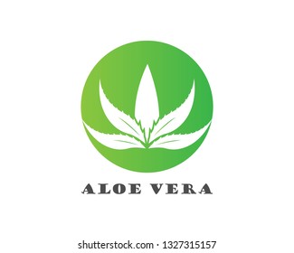 Aloe vera logo vector ilustration template - Vector 