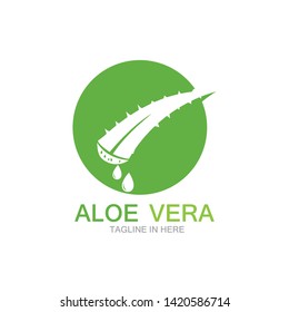 Aloe vera logo vector ilustration 