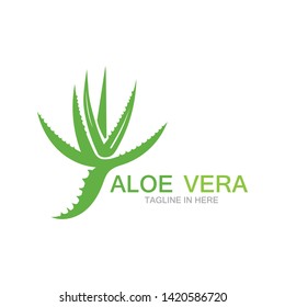 Aloe vera logo vector ilustration 