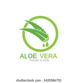Aloe vera logo vector ilustration 