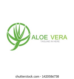 Aloe vera logo vector ilustration 