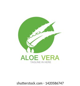Aloe vera logo vector ilustration 