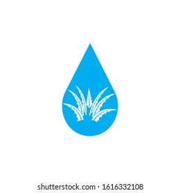Aloe vera logo vector ilustration template