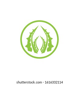 Aloe vera logo vector ilustration template