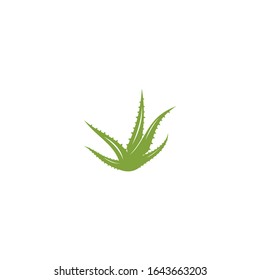 Plantilla de ilustración vectorial del logo de Aloe vera