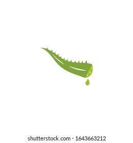 Aloe vera logo vector ilustration template