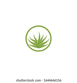 Plantilla de ilustración vectorial del logo de Aloe vera