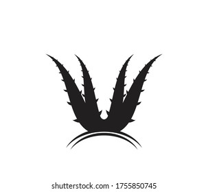 Aloe vera logo vector ilustration template
