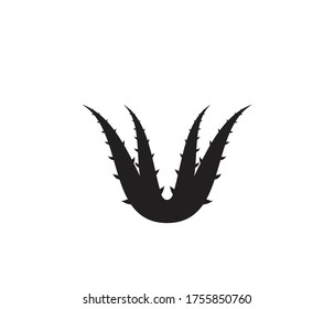 Aloe vera logo vector ilustration template