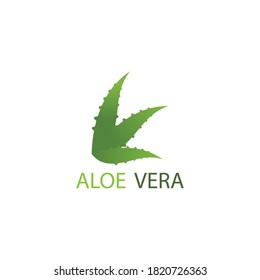 Aloe vera logo vector ilustration template