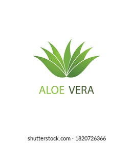 Aloe vera logo vector ilustration template