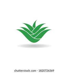 Aloe vera logo vector ilustration template