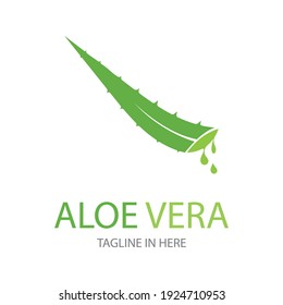Plantilla de diseño de ilustraciones vectoriales del logo de Aloe vera