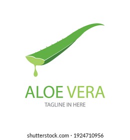 Aloe Vera Logo, Vektorgrafik-Design-Vorlage
