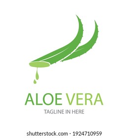 Aloe vera logo vector ilustration design template