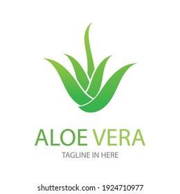 Plantilla de diseño de ilustraciones vectoriales del logo de Aloe vera