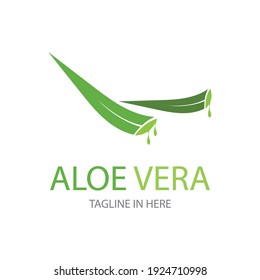 Plantilla de diseño de ilustraciones vectoriales del logo de Aloe vera