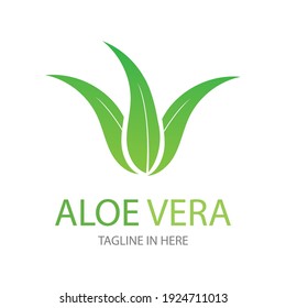 Aloe vera logo vector ilustration design template