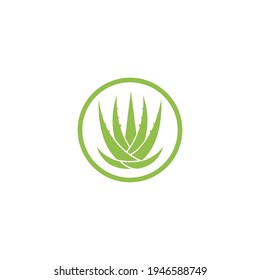 Plantilla de ilustración vectorial del logo de Aloe vera