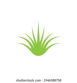 Aloe vera logo vector ilustration template