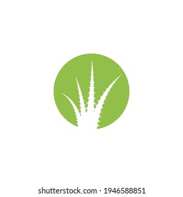 Plantilla de ilustración vectorial del logo de Aloe vera