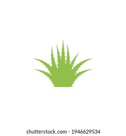Aloe vera logo vector ilustration template