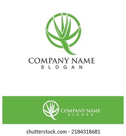 Ilustración vectorial del logo de Aloe vera 