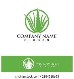 Aloe vera logo vector ilustration 