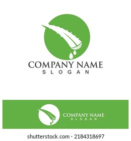 Aloe vera logo vector ilustration 