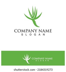 Aloe vera logo vector ilustration 