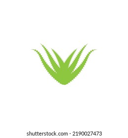 Aloe vera logo vector ilustration template