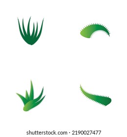 Aloe vera logo vector ilustration template