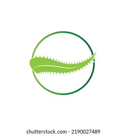 Plantilla de ilustración vectorial del logo de Aloe vera