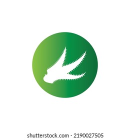 Aloe Vera Logo, Vektorgrafik-Vorlage
